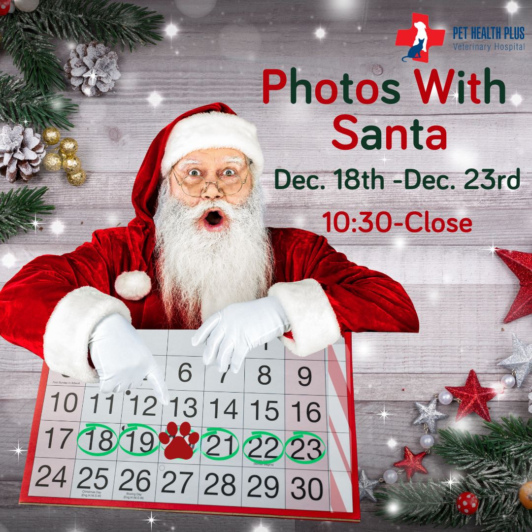 Santa holding a calendar of dates for photos at Pet Health Plus