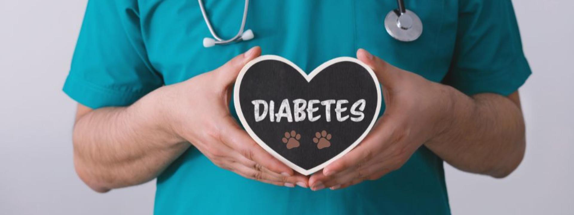 Demystifying diabetes in pets, a guide for pet diabetes month.