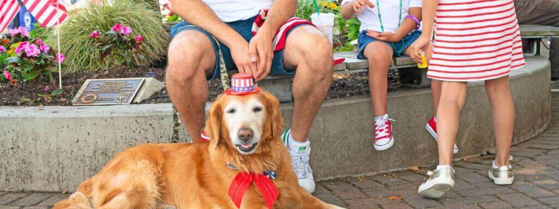 keep pets safe on the 4th of july